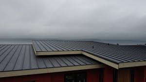 Best Steel Roofing  in Royersford, PA